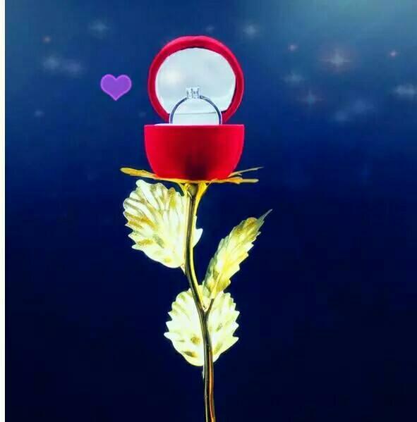 bunga mawar box cincin daun gold (tanpa cincin)