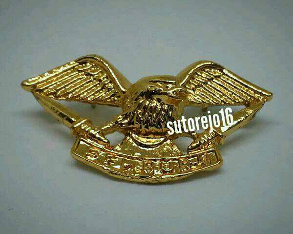 brevet wings pemburu