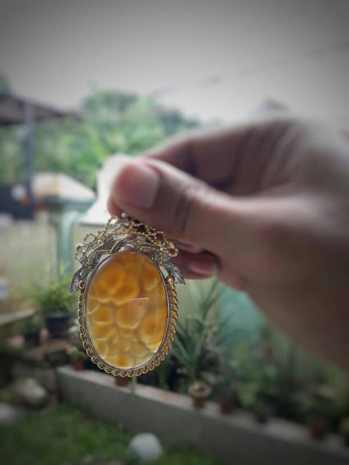 Golden Supreme Pacitan (Lawasan Langka)