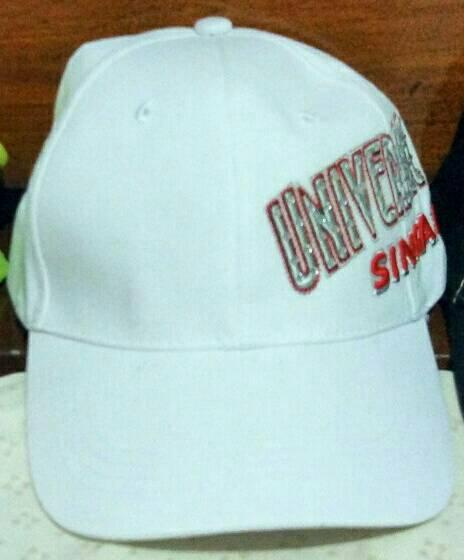 Topi Universal Studio Singapore