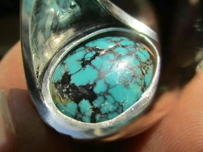 PIRUS PERSIA KUNO URAT JALA