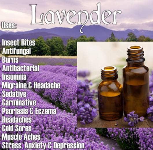 Lavender Oil/Pure Essential Oil 5 Ml