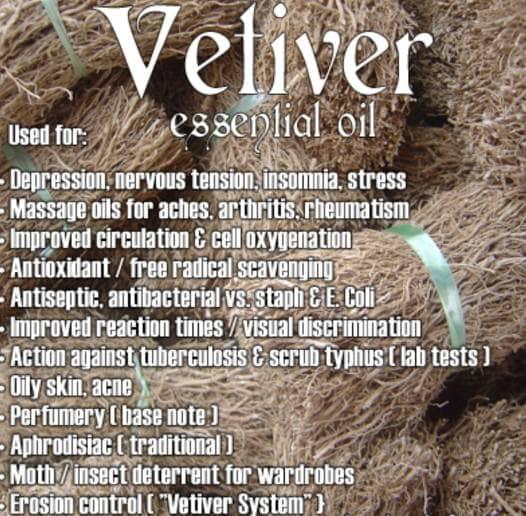 Vetiver Oil/Pure Essential Oil 5 Ml