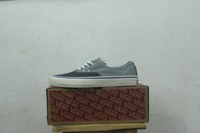 Vans Authentic Pro Elijah Berle Navy