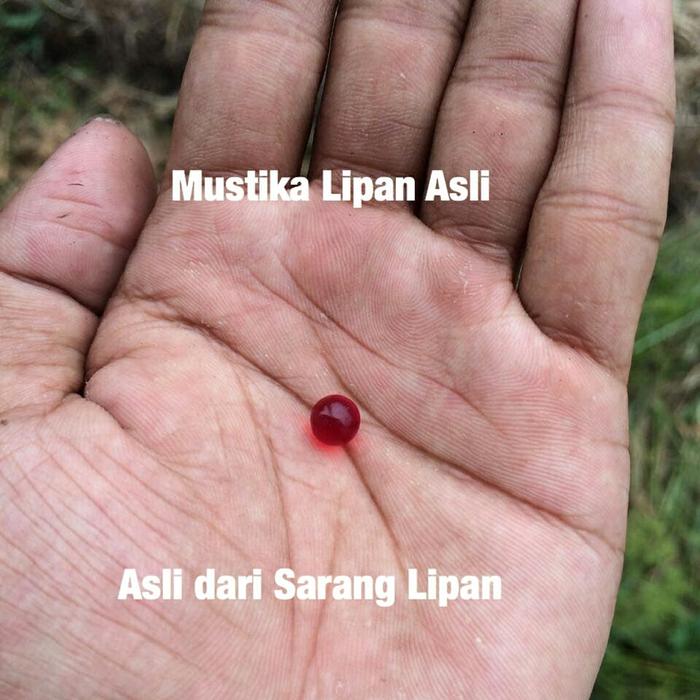 Mustika Lipan Asli