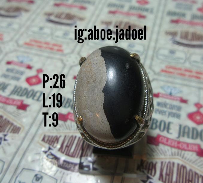batu fosil kayu ulin unik yinyang jumbo