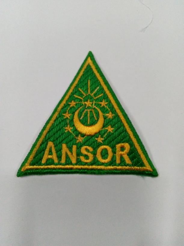 Logo ANSOR