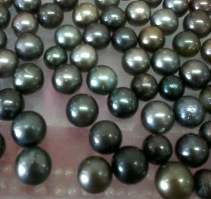 butiran mutiara laut hitam / mutiara asli / mutiara lombok