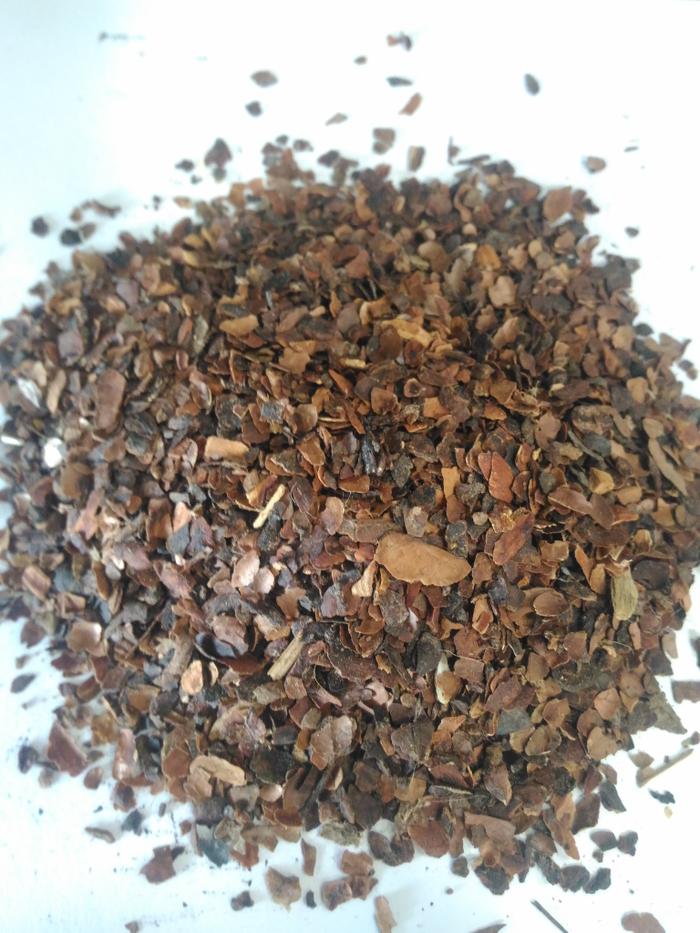 Kulit coklat, kulit biji coklat