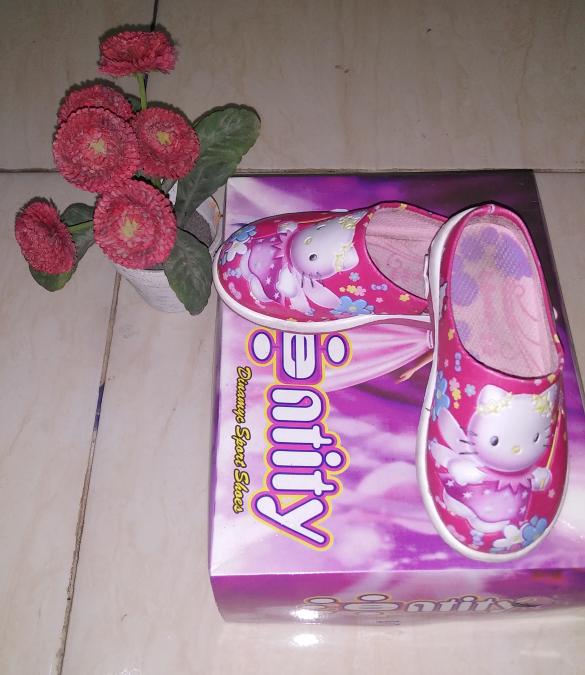 Sepatu entity
