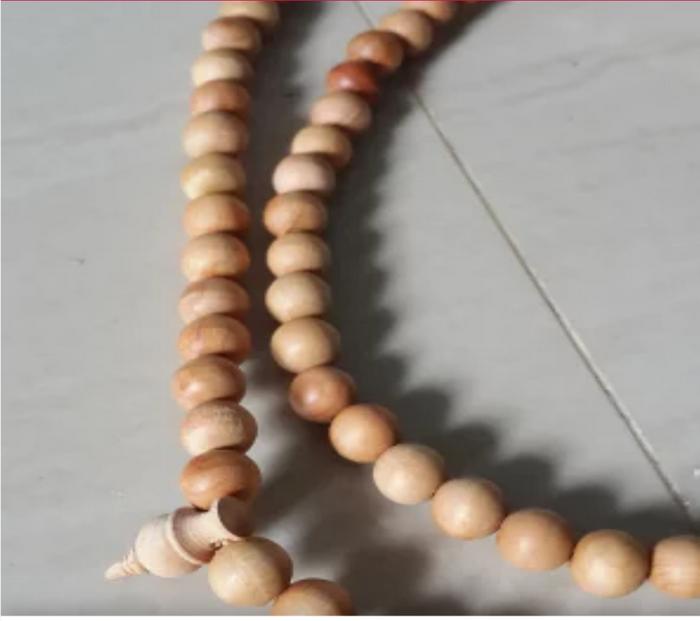 Biji kayu cendana