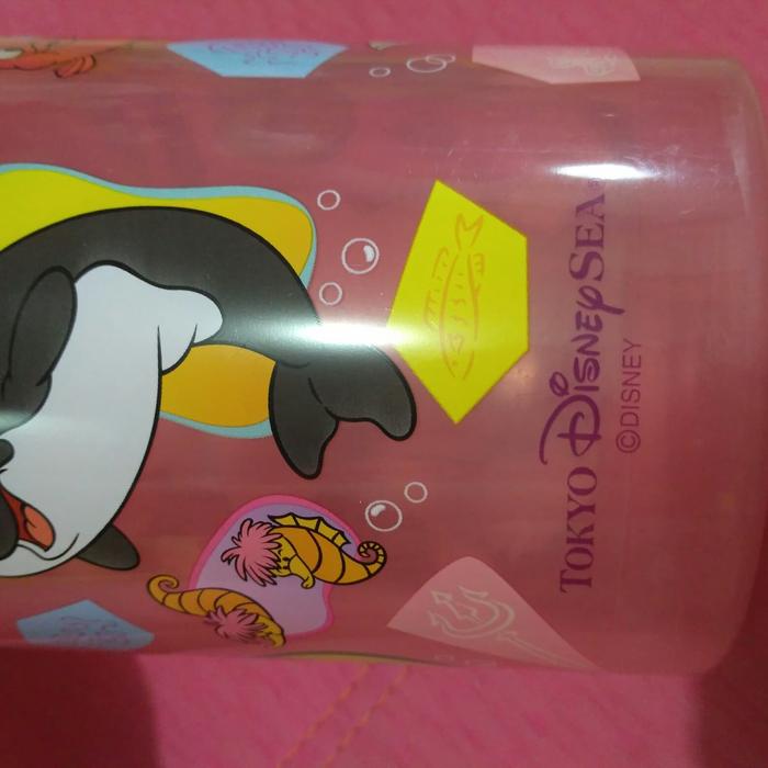 Tokyo Disneyland Bucket