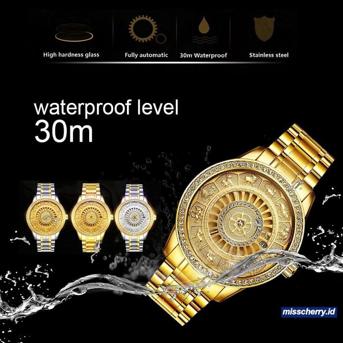 TEVISE Automatic Gold Mechanical Swiss Men's Watch
