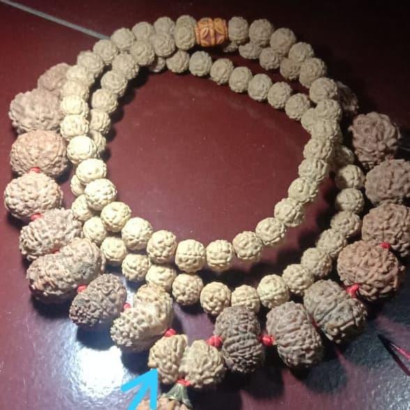 Necklace beads Rudraksha 1 mukhi 17 mukhi