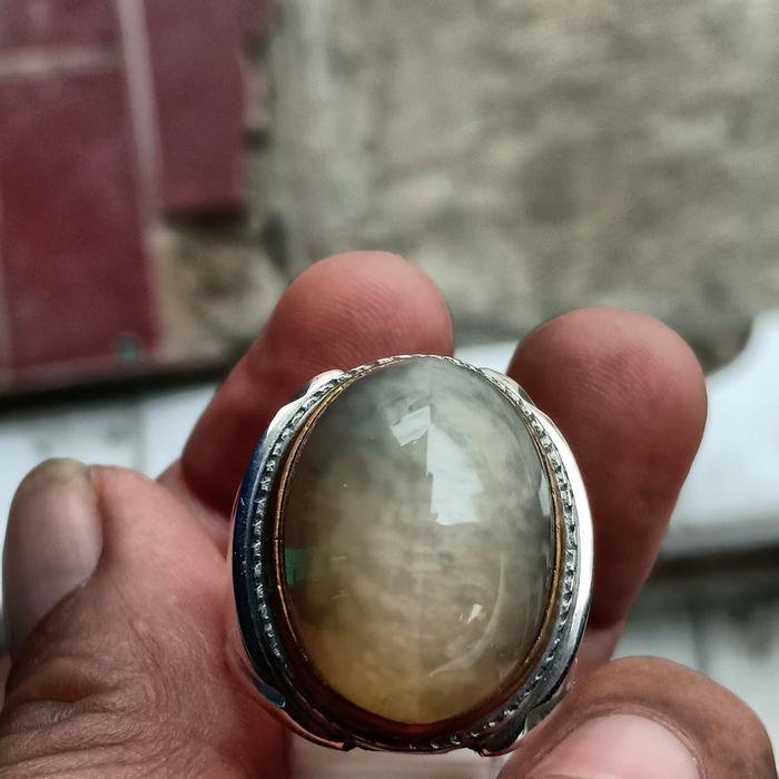 pandan semu Hijau