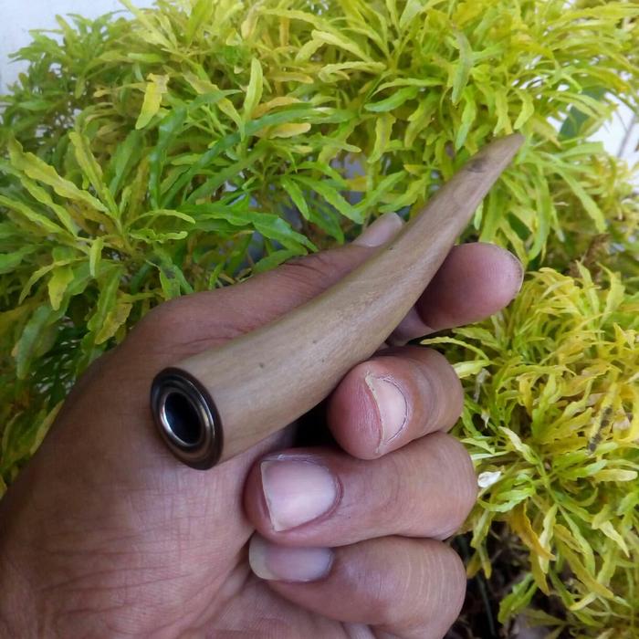 pipa once kayu dewandaru melengkung