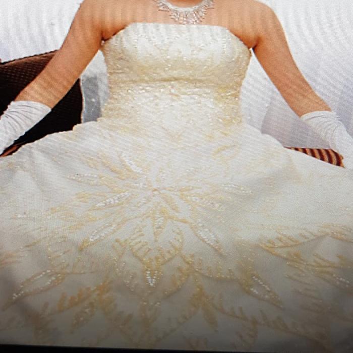 preloved gaun pengantin / wedding dress second import mewah FREE PETTICOAT
