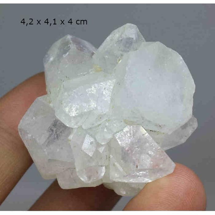 Natural Zeolite Apophyllite Cluster