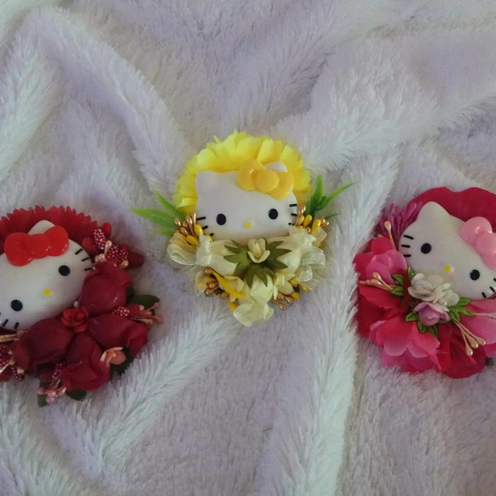 Bros Hello Kitty Bunga
