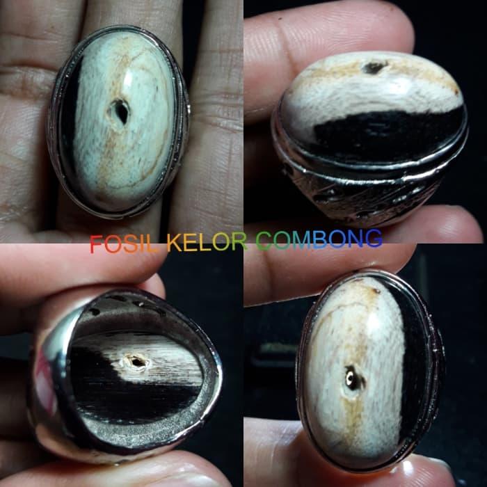 NATURAL BATU AKIK FOSIL KELOR COMBONG UNIK LANGLA PILIHAN