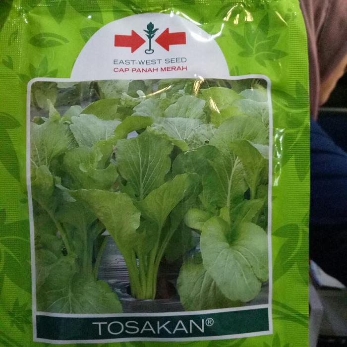 Sawi hijau TOSAKAN, kemasan 25 gram