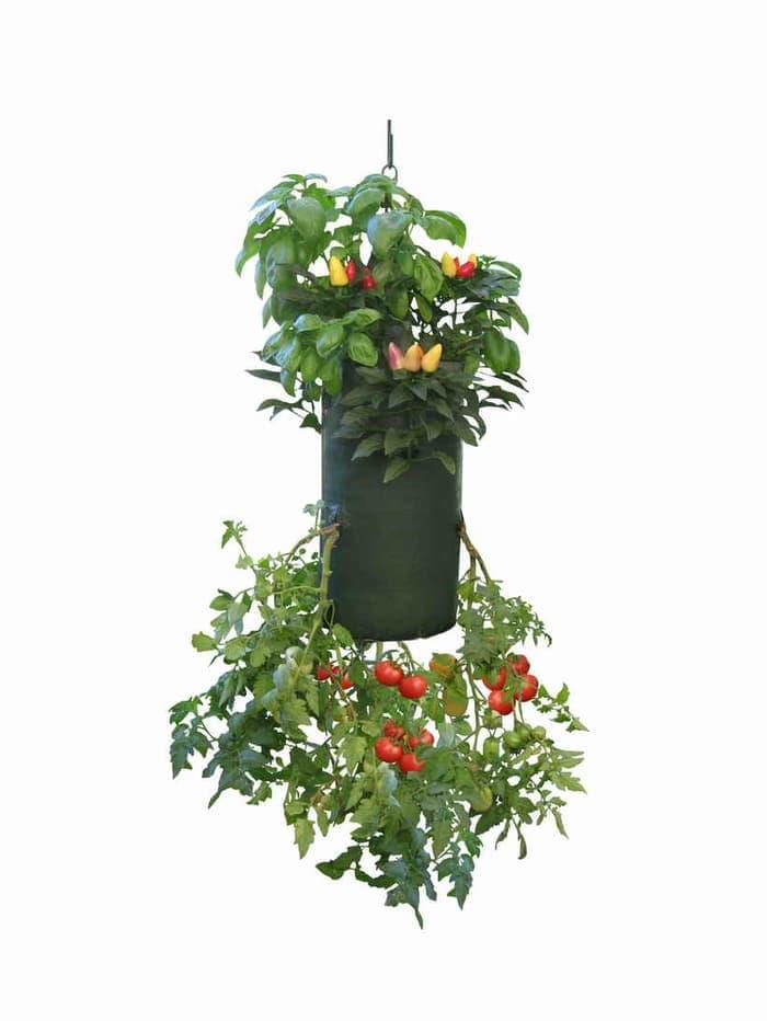 Veggie Bag 7 Slits