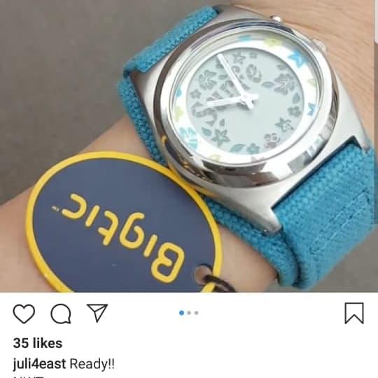 fossil Bigtic