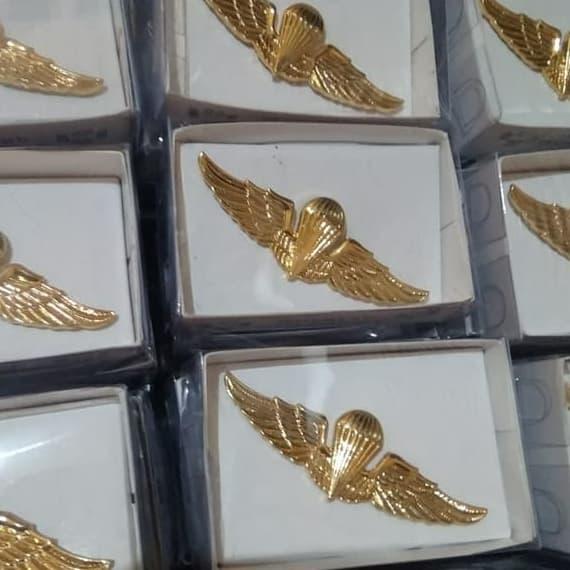 brevet wing para