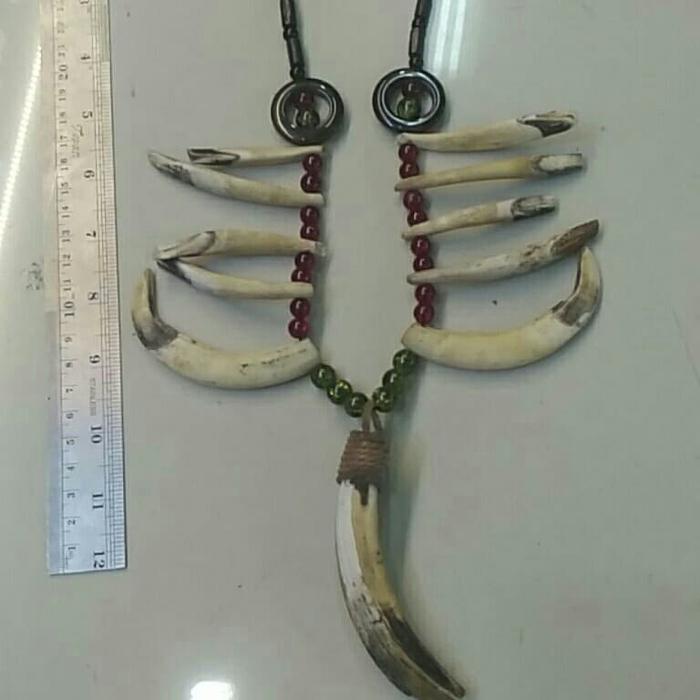 kalung etnik taring babi tua bukan batu antik unik keris mustika wafak