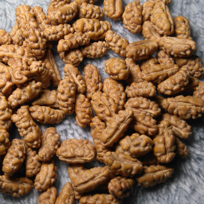 jenitri mukhi 1