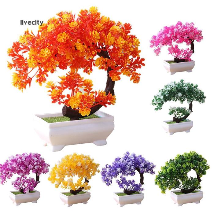 Ornamen Tanaman Bonsai 111