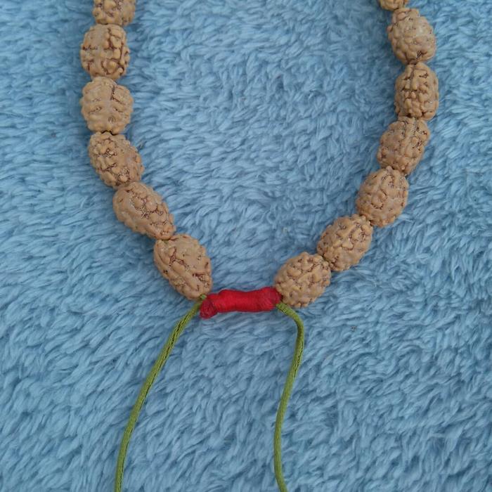 jenitri mukhi 2