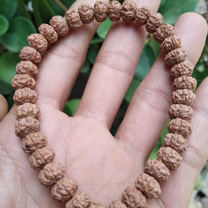 jenitri genitri gepeng halus original