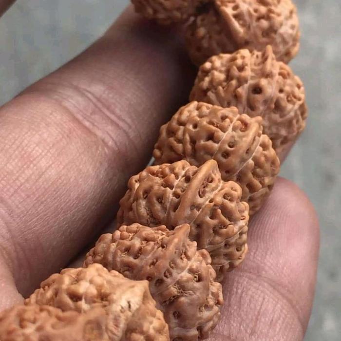 jenitri ganesha rudraksha ganesha sirip belalai