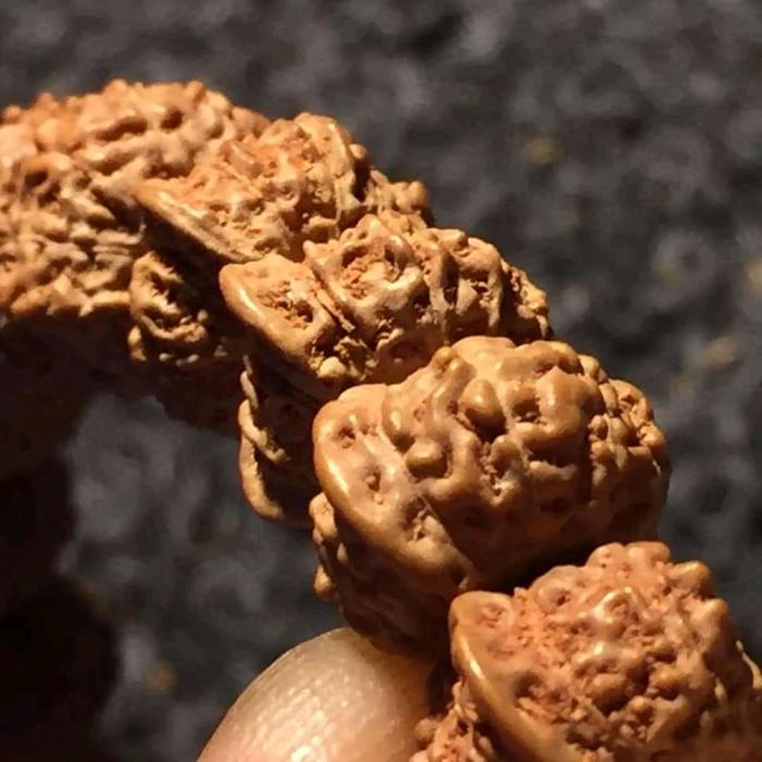 jenitri rudraksha ganesha sirip belalai original antik