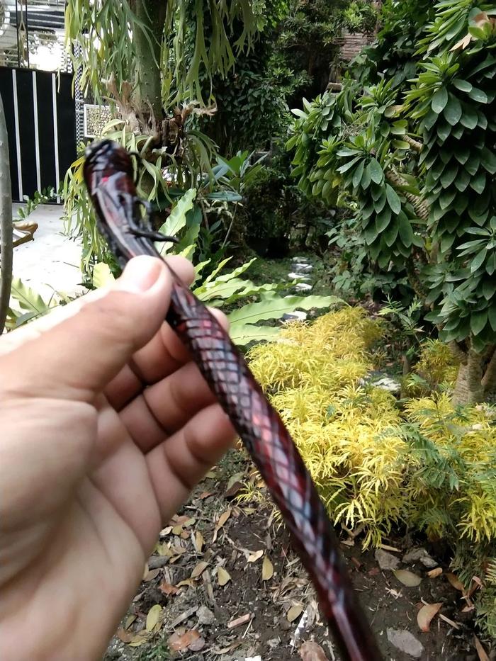 PIPA ONCE CANGKLONG AKAR BAHAR MERAH Ukir Naga 07