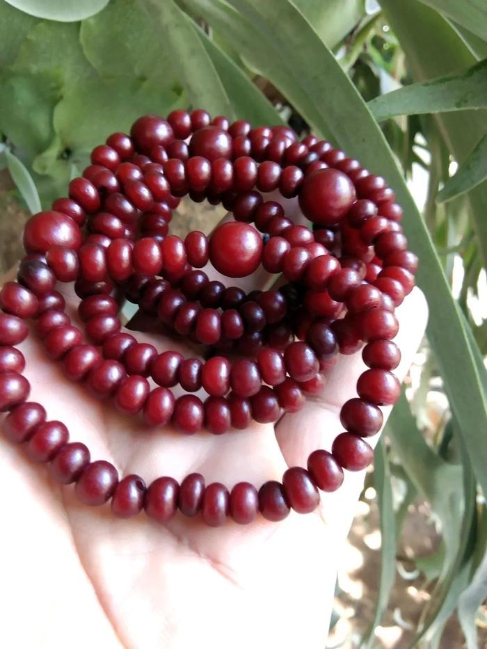 Gelang Tasbih Asli BIJI GEBANG 33 Biji 6 mm