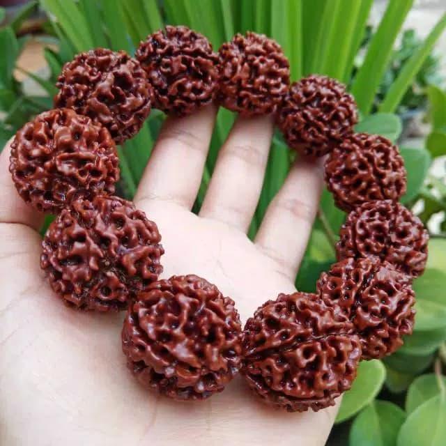 gelang jenitri mukhi 7 rudraksha original