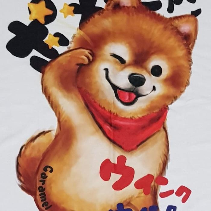 Kaos /T shirt/Baju/Kaos gambar hewan/Kaos gambar anjing POM wink