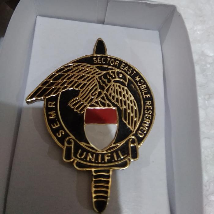 brevet wing SEMR/wing unifil