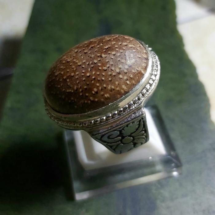 Fosil Liwung Lawu - Cincin Batu Akik