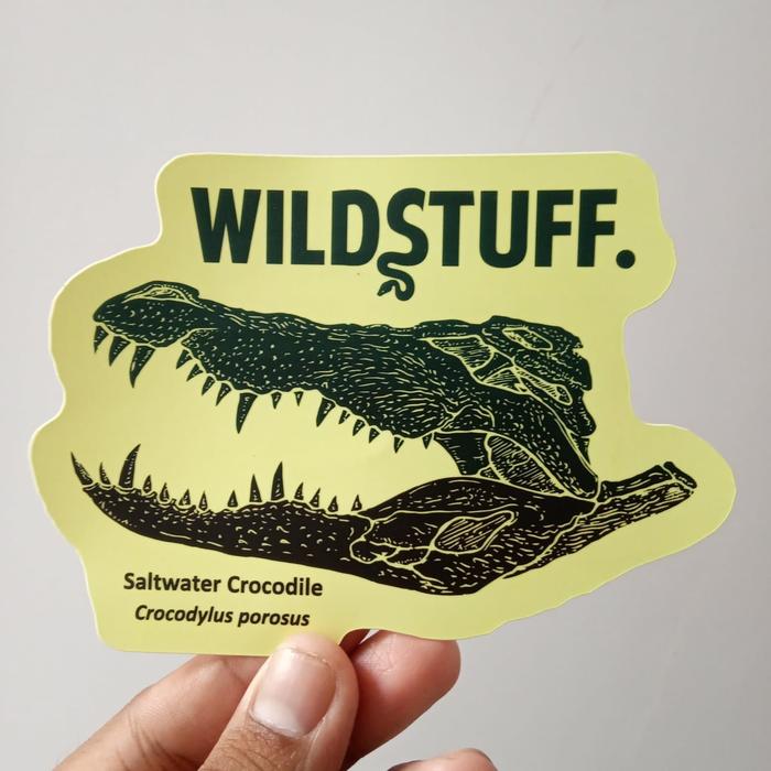 Sticker Wildstuff. - Tengkorak Buaya saltwater crocodile skull