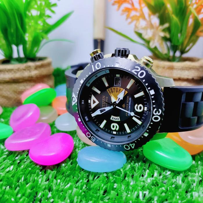 Jam Tangan Original Citizen Promaster Diver's Watch