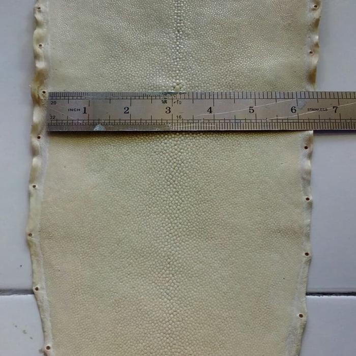 Kulit ikan pari