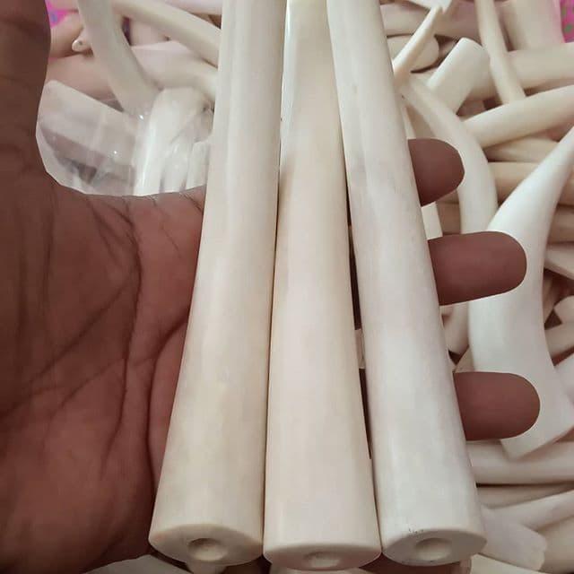 tulang duyung pipa