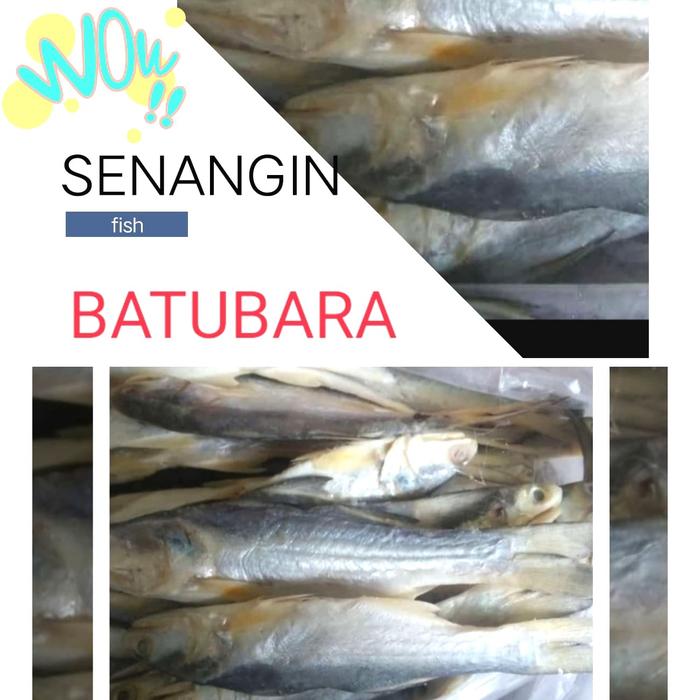 IKAN ASIN SENANGIN ASLI BATU BARA MEDAN. 1000gram