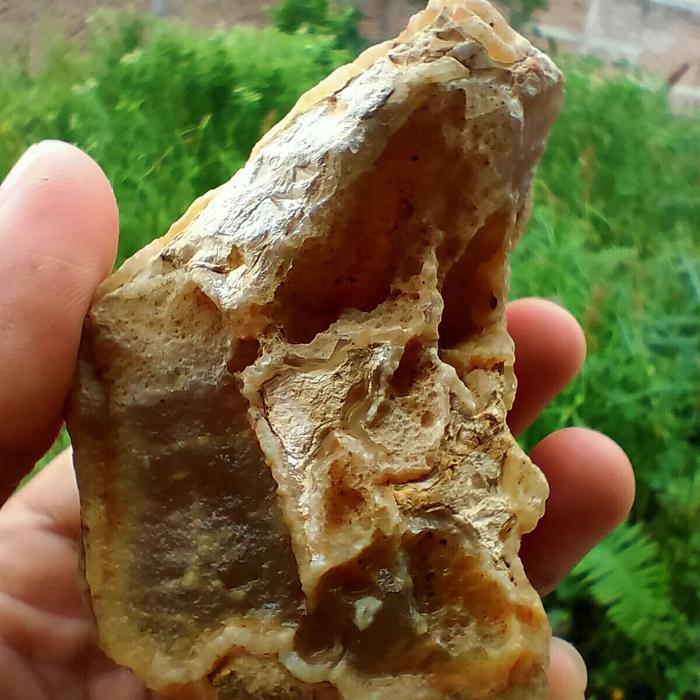 Rough Cimpago Biru / Cempaka Biru Pasaman ( Batu Akik - bkan bacan )