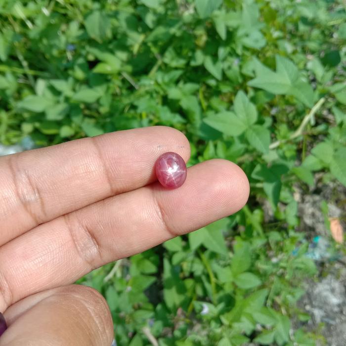 Batu Permata Ruby Star Asli