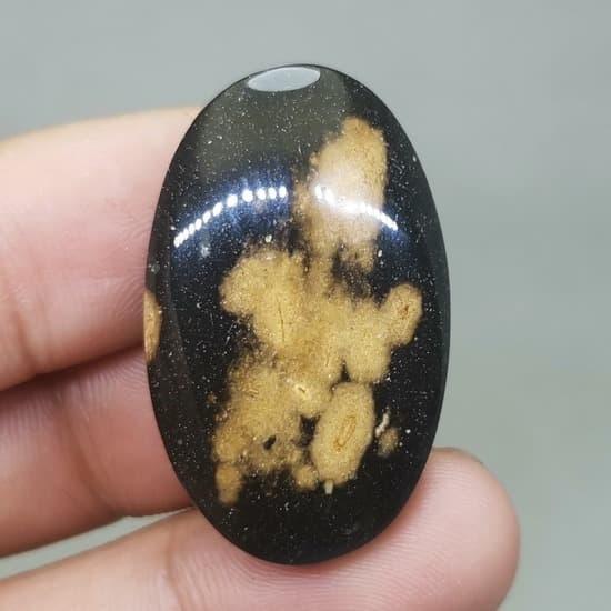 Fosil Batu Galih Kelor Coklat Hitam Asli